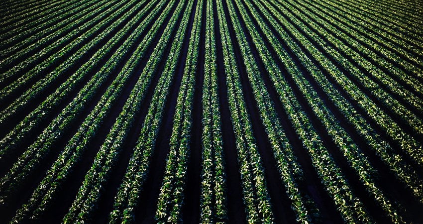 Soil Regeneration In Our Changing Climate